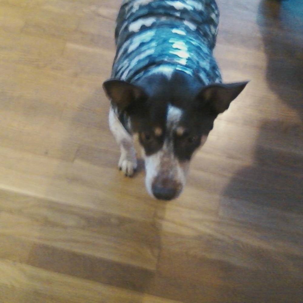 Meet your Posher, Elizabeth